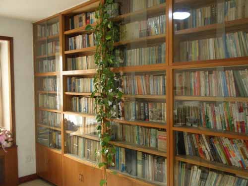 书房风水植物应如何摆放