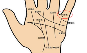 大富大贵的12种体相