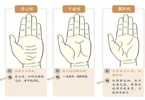 最全最精准的掌纹解析 从掌纹看你的财运状况 