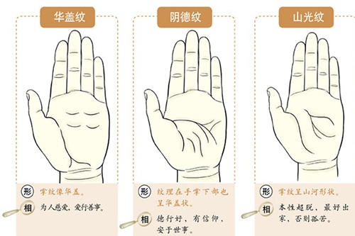 最全最精准的掌纹解析 从掌纹看你的财运状况 