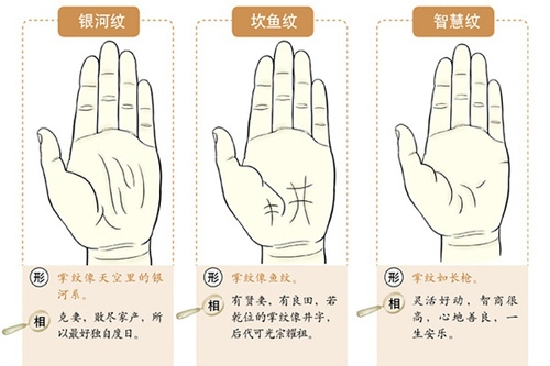 最全最精准的掌纹解析 从掌纹看你的财运状况 