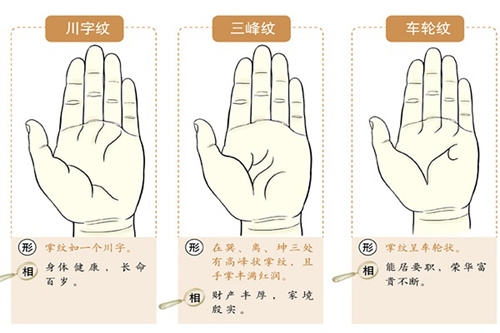 最全最精准的掌纹解析 从掌纹看你的财运状况 