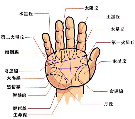 从手相来看你的性能力如何