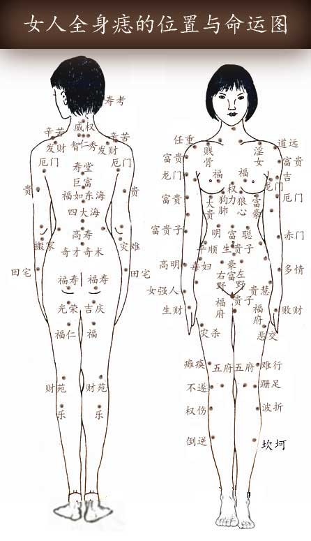 女人全身痣相图解