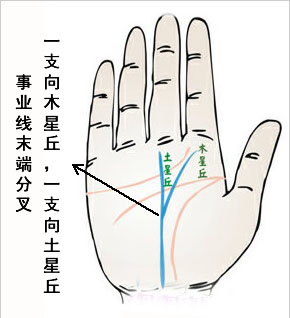 命运线末端分代表什么？