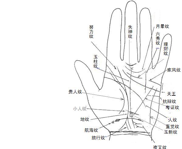 中国手相学