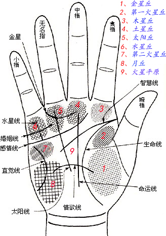 新派手相论婚姻掌纹