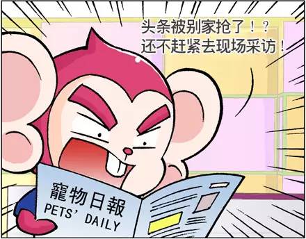 双子座